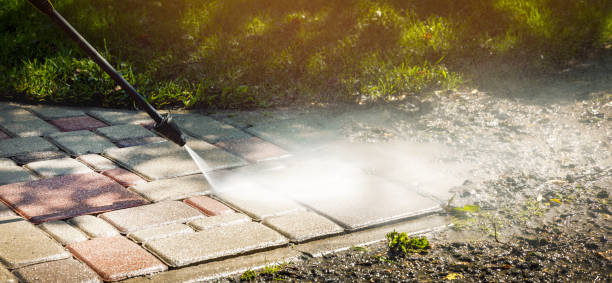 Best Building Exterior Washing  in Festus, MO