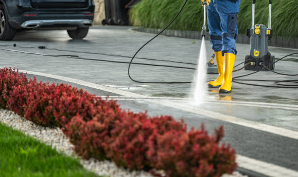 Best Patio and Deck Pressure Washing  in Festus, MO